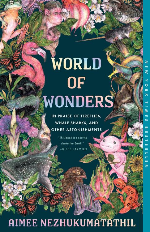 Produktbild: World of Wonders
