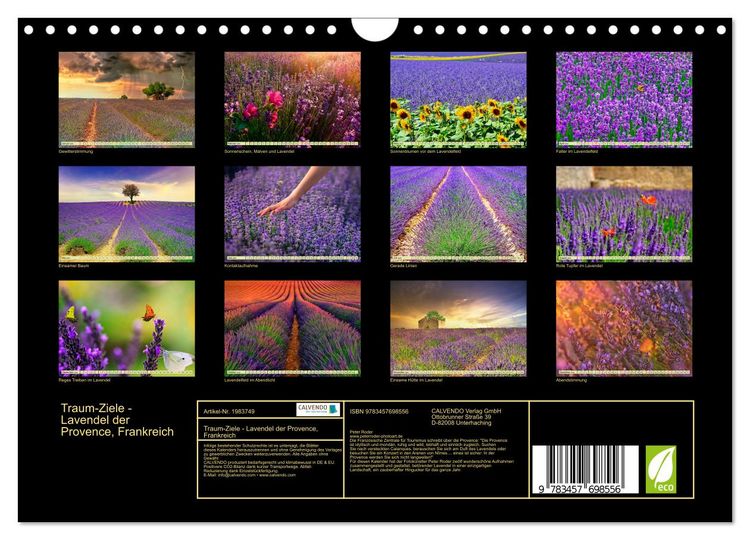 Produktbild: Traum-Ziele - Lavendel der Provence, Frankreich (Wandkalender 2026 DIN A4 quer), CALVENDO Monatskalender