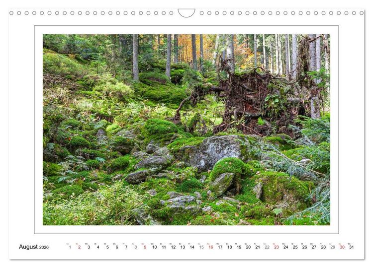 Produktbild: Unterwegs im Bayerischen Wald (Wandkalender 2026 DIN A3 quer), CALVENDO Monatskalender