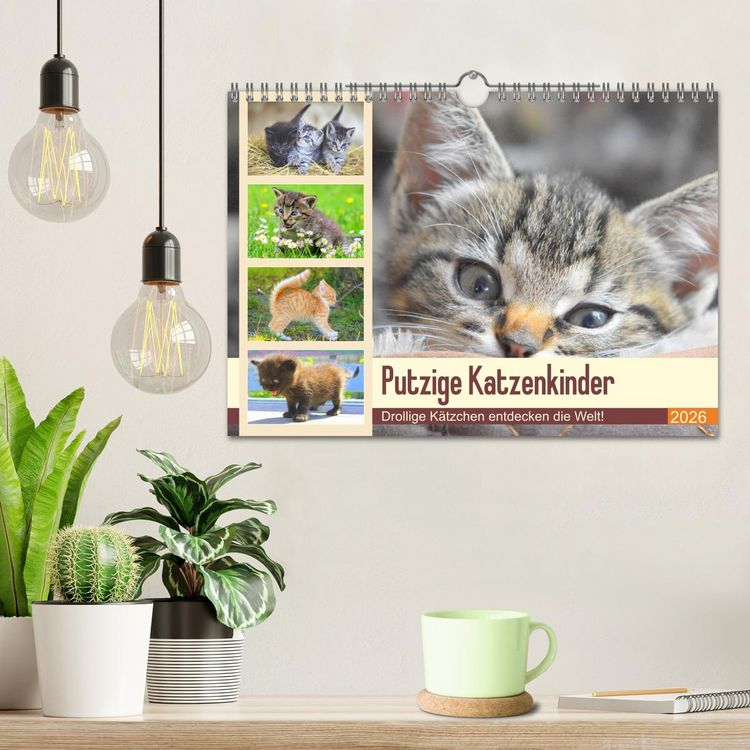 Produktbild: Putzige Katzenkinder. Drollige K&auml;tzchen entdecken die Welt! (Wandkalender 2026 DIN A4 quer), CALVENDO Monatskalender