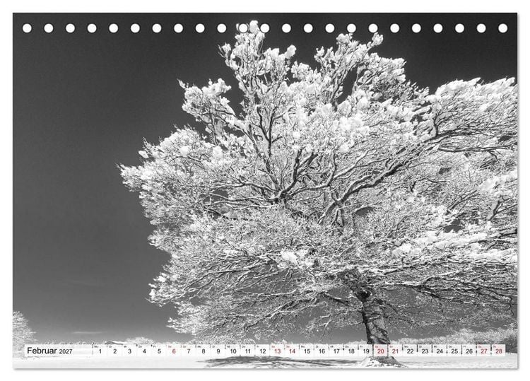 Produktbild: Traumhafte Allg&auml;uer Alpen (Tischkalender 2027 DIN A5 quer), CALVENDO Monatskalender