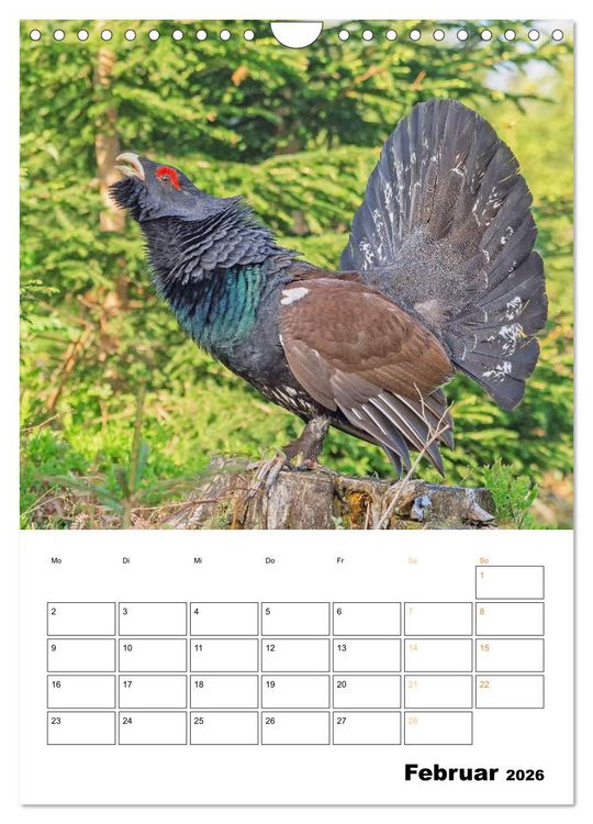 Produktbild: Wilde Tiere: Zuhause in Wald und Flur (Wandkalender 2026 DIN A4 hoch), CALVENDO Monatskalender