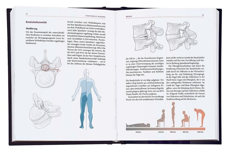 Produktbild: Yoga-Therapie in der Praxis