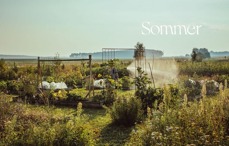 Produktbild: Was kocht Hanna