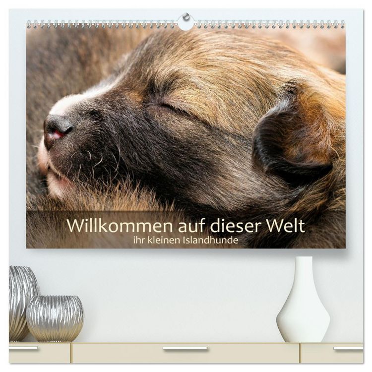 Produktbild: Willkommen auf dieser Welt ihr kleinen Islandhunde (hochwertiger Premium Wandkalender 2027 DIN A2 quer), Kunstdruck in Hochglanz