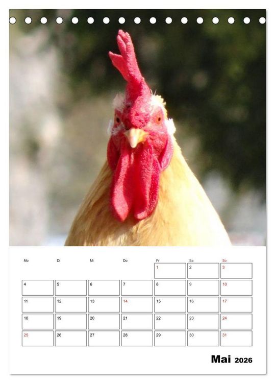 Produktbild: H&uuml;hner Terminplaner (Tischkalender 2026 DIN A5 hoch), CALVENDO Monatskalender