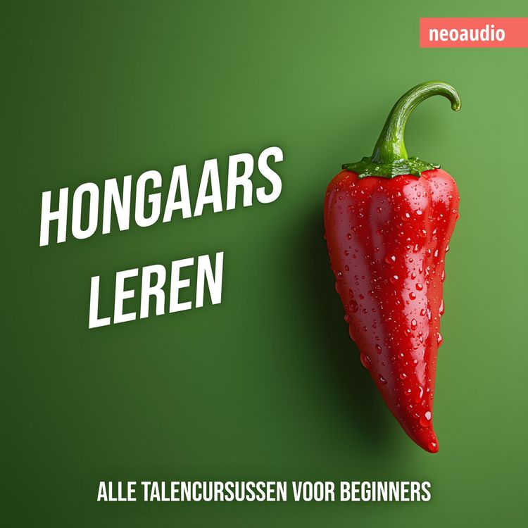 Produktbild: Taalcursussen voor beginners, Hongaars leren