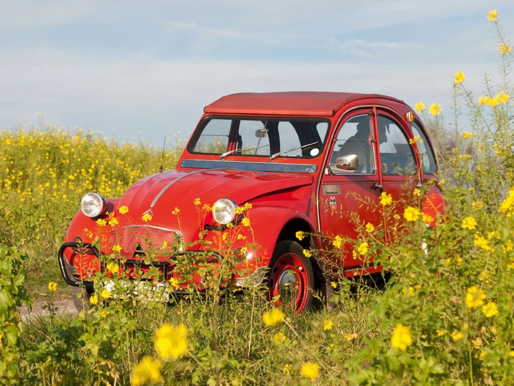 Produktbild: CALVENDO Puzzle Ente im Glebsenf 1000 Teile Lege-Gr&ouml;&szlig;e 64 x 48 cm Foto-Puzzle Bild von Meike B&ouml;lts