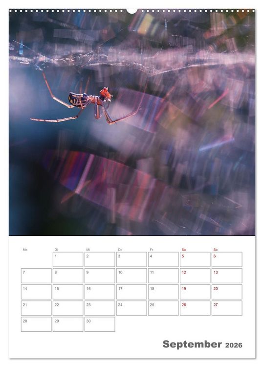 Produktbild: Helden in der Natur (hochwertiger Premium Wandkalender 2026 DIN A2 hoch), Kunstdruck in Hochglanz