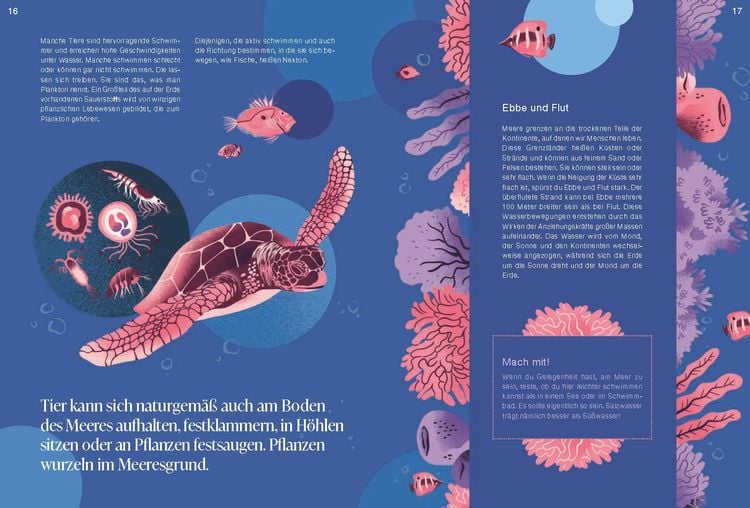 Bio-Diversi-Was? Reise in die fantastische Welt der Artenvielfalt. In Kooperation mit dem WWF