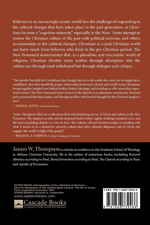 Produktbild: Christ and Culture in the New Testament