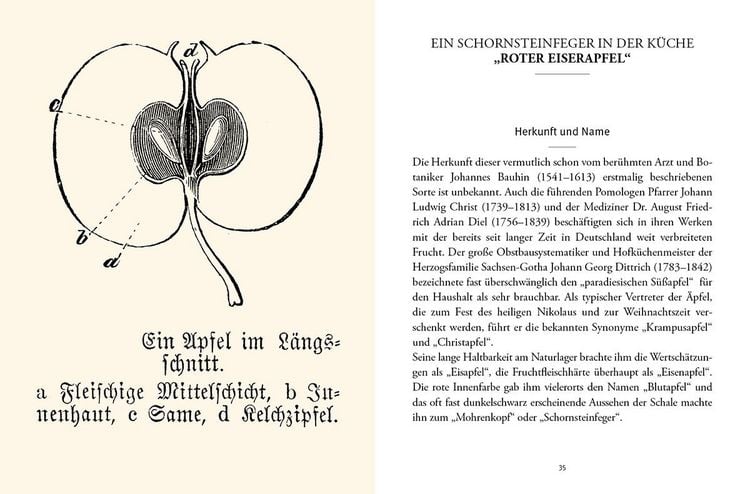 Produktbild: Das gro&szlig;e kleine Buch: Alte Obstsorten in der K&uuml;che
