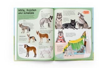 Produktbild: Das Hunde-Buch