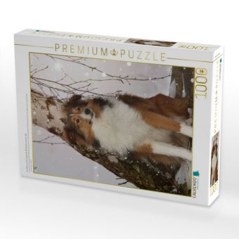 Produktbild: CALVENDO Puzzle Ein Motiv aus dem Kalender Mit Shelties durchs Jahr | 1000 Teile Lege-Gr&ouml;&szlig;e 64x48cm Foto-Puzzle f&uuml;r gl&uuml;ckliche Stunden