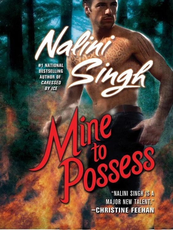 Produktbild: Mine to Possess
