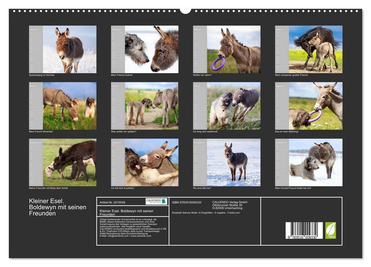 Produktbild: Kleiner Esel. Boldewyn mit seinen Freunden (hochwertiger Premium Wandkalender 2026 DIN A2 quer), Kunstdruck in Hochglanz