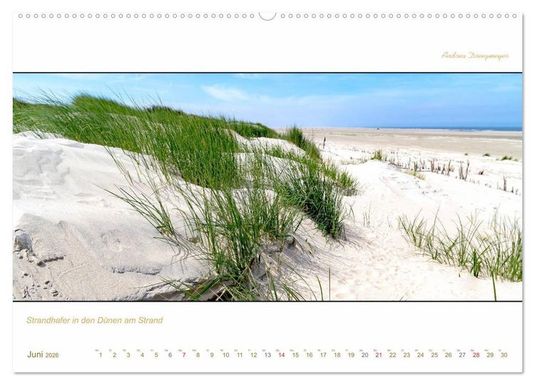 Produktbild: Borkum Inselpanorama (Wandkalender 2026 DIN A2 quer), CALVENDO Monatskalender