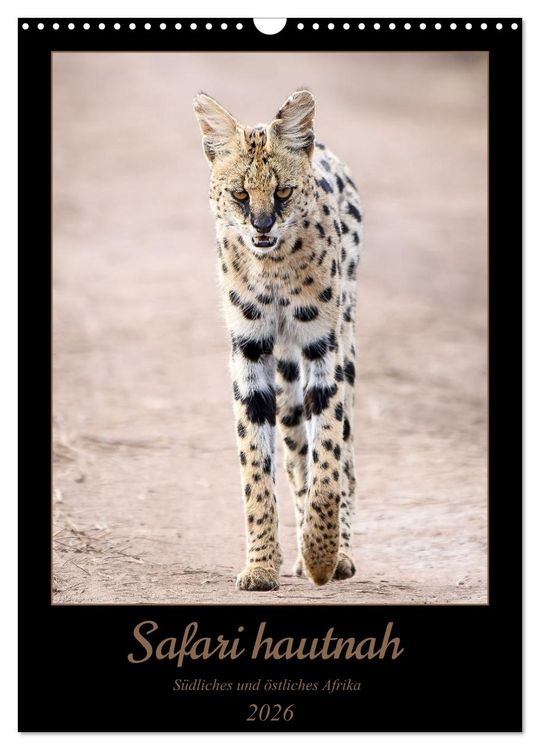 Produktbild: Safari hautnah - S&uuml;dliches und &ouml;stliches Afrika (Wandkalender 2026 DIN A3 hoch), CALVENDO Monatskalender