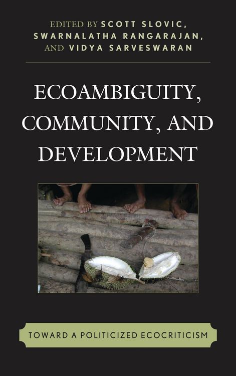 Produktbild: Ecoambiguity, Community, and Development