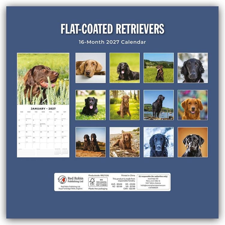 Produktbild: Flat-Coated Retrievers &ndash; Flat Coated Retriever 2027 &ndash; 16-Monatskalender