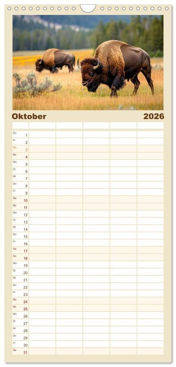 Produktbild: Familienplaner 2026 - B&uuml;ffel - Ikonen der Wildnis mit 5 Spalten (Wandkalender, 21 x 45 cm) CALVENDO