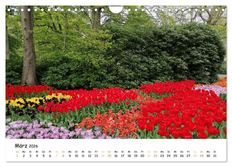 Produktbild: Auf Tour im Land der Tulpen (Wandkalender 2026 DIN A4 quer), CALVENDO Monatskalender