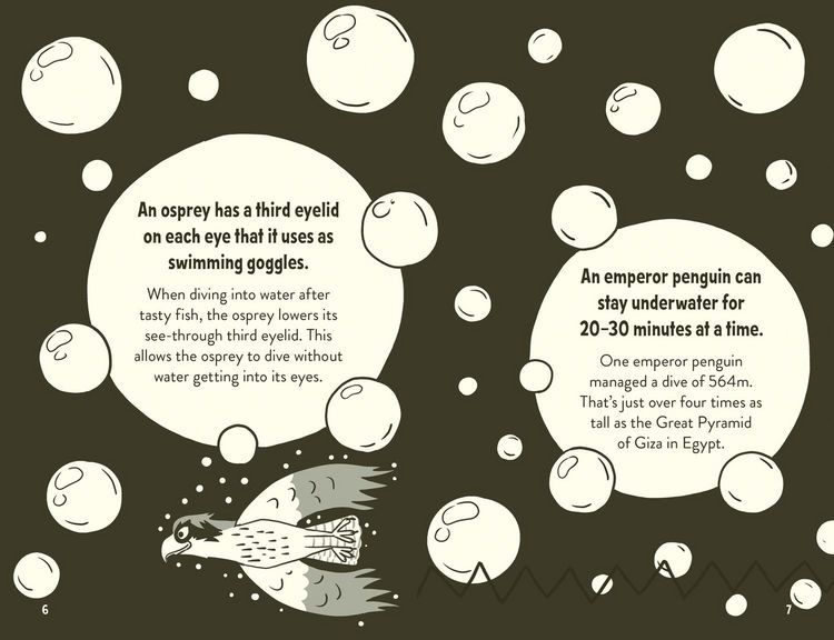 Produktbild: Amazing Facts Every 10 Year Old Needs to Know