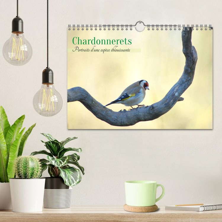 Produktbild: Chardonnerets - Portraits d'une esp&egrave;ce &eacute;blouissante (Calendrier mural 2026 DIN A4 vertical), CALVENDO calendrier mensuel