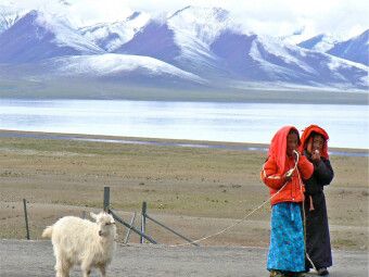 Produktbild: CALVENDO Puzzle M&auml;dchen in Tibet | 1000 Teile Lege-Gr&ouml;&szlig;e 64x48cm Foto-Puzzle f&uuml;r gl&uuml;ckliche Stunden