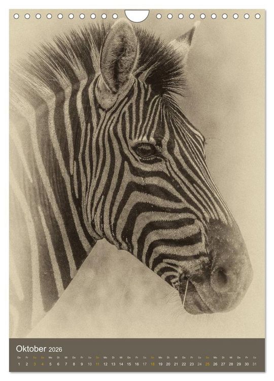 Produktbild: Afrikas Tierwelt - Sepia-Art (Wandkalender 2026 DIN A4 hoch), CALVENDO Monatskalender