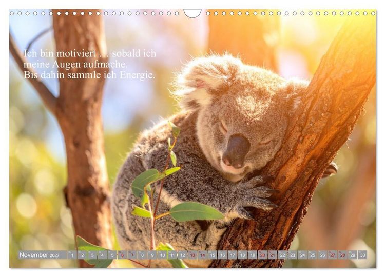 Produktbild: Erst schlafen, dann Welt retten (Wandkalender 2027 DIN A3 quer), CALVENDO Monatskalender