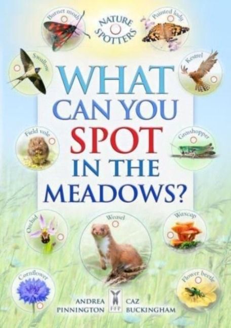Produktbild: What Can You Spot in the Meadows?