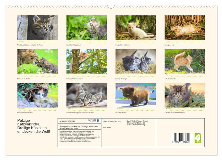Produktbild: Putzige Katzenkinder. Drollige K&auml;tzchen entdecken die Welt! (hochwertiger Premium Wandkalender 2026 DIN A2 quer), Kunstdruck in Hochglanz