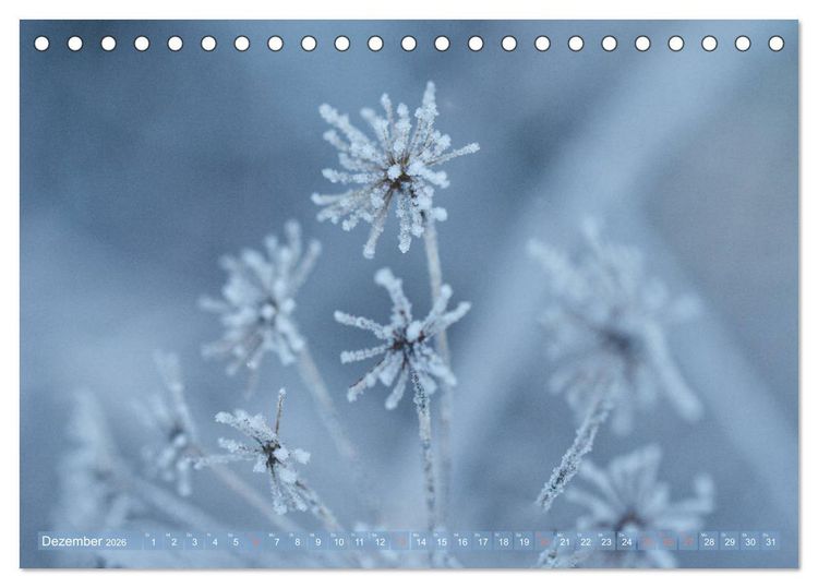 Produktbild: Die Poesie der Pflanzenwelt - Im Wandel der Jahreszeiten (Tischkalender 2026 DIN A5 quer), CALVENDO Monatskalender