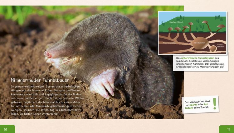 Produktbild: Meine gro&szlig;e Tierbibliothek: Der Maulwurf