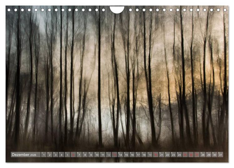 Produktbild: Atelier Wald - gemalt mit Licht (Wandkalender 2026 DIN A4 quer), CALVENDO Monatskalender