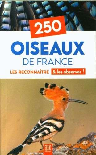 Produktbild: 250 oiseaux de France : les reconna&icirc;tre & les observer !