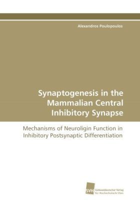 Produktbild: Poulopoulos, A: Synaptogenesis in the Mammalian Central Inhi