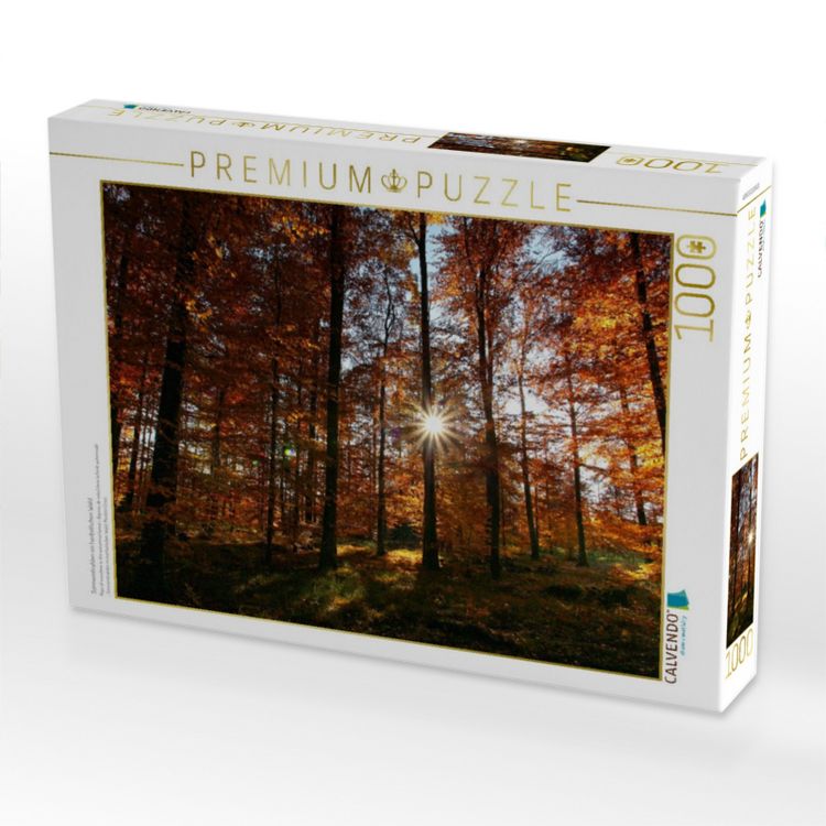 Produktbild: CALVENDO Puzzle Sonnenstrahlen im herbstlichen Wald | 1000 Teile Lege-Gr&ouml;&szlig;e 64x48cm Foto-Puzzle f&uuml;r gl&uuml;ckliche Stunden