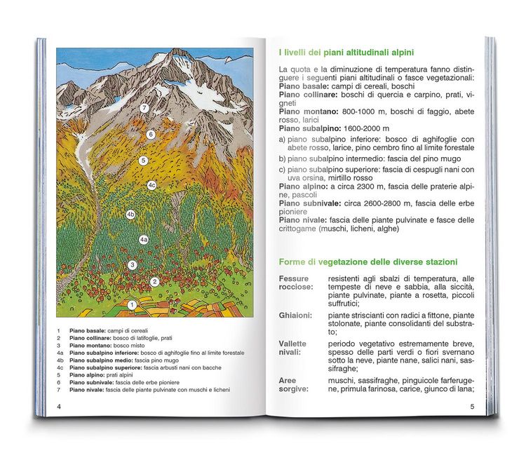 Produktbild: Fiori alpini
