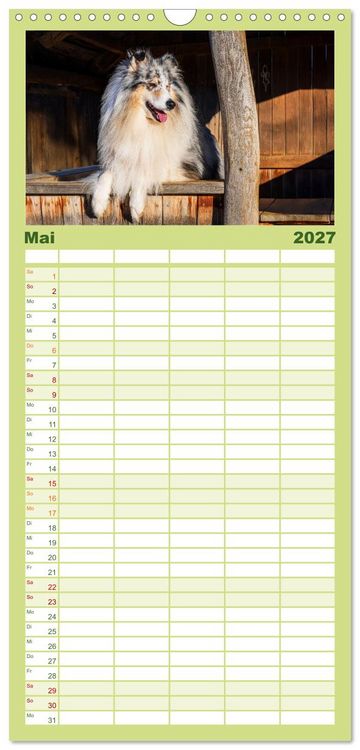 Produktbild: Familienplaner 2027 - Traumhund Collie - Mein bester Freund mit 5 Spalten (Wandkalender, 21 x 45 cm) CALVENDO