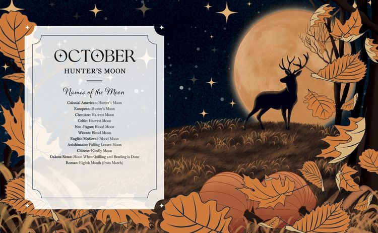 Produktbild: The Full Moon Yearbook