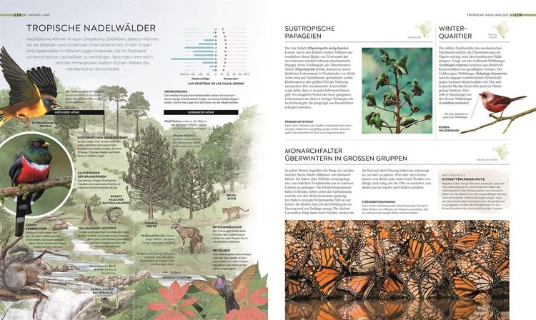 Produktbild: Wilde Welten