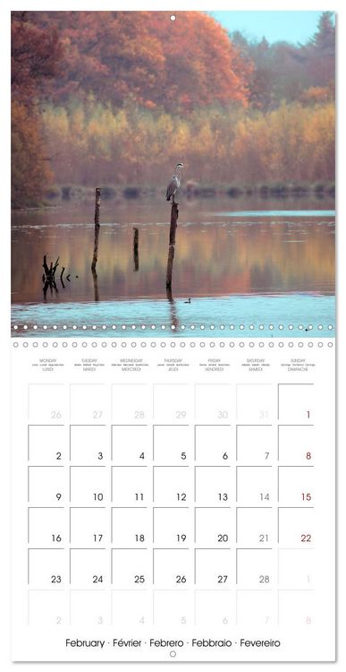 Produktbild: Les couleurs de la Vienne (Calendrier mural carr&eacute; 2026 30x30 cm) Calendrier double avec une page pour vos prises de notes