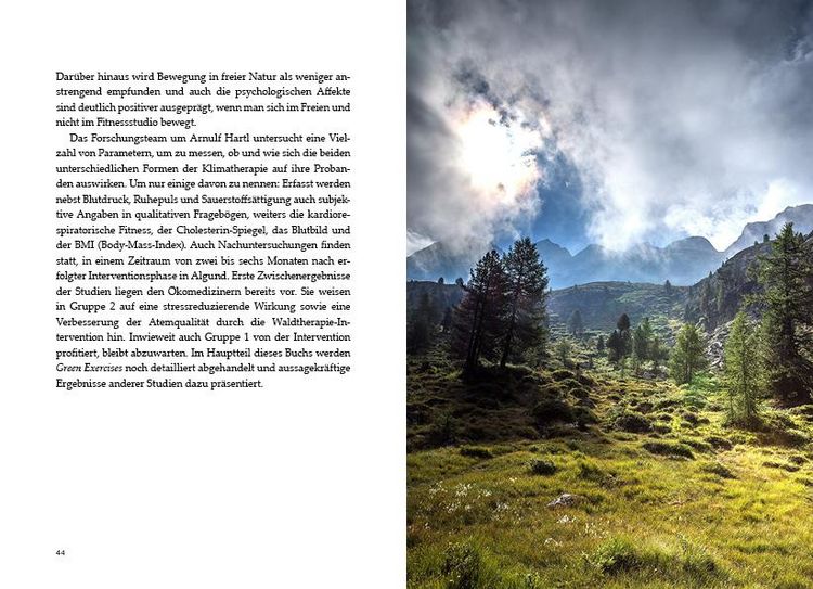 Produktbild: Heilkraft der Alpen