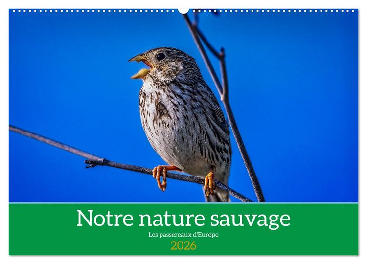Produktbild: Notre nature sauvage, les passereaux d'Europe (Calendrier mural 2026 DIN A2 vertical), CALVENDO calendrier mensuel