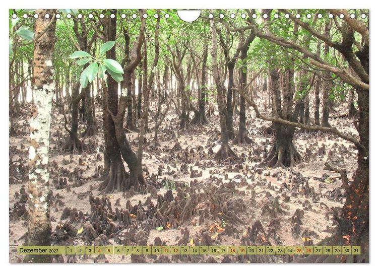 Produktbild: Die Natur Japans (Wandkalender 2027 DIN A4 quer), CALVENDO Monatskalender