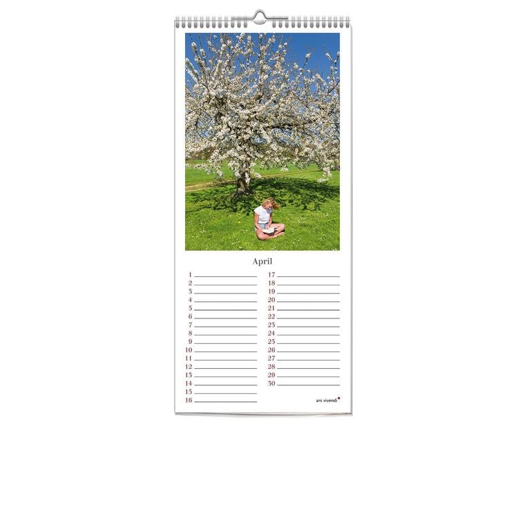 Produktbild: Geburstagskalender Lesen, immerw&auml;hrend (neu)