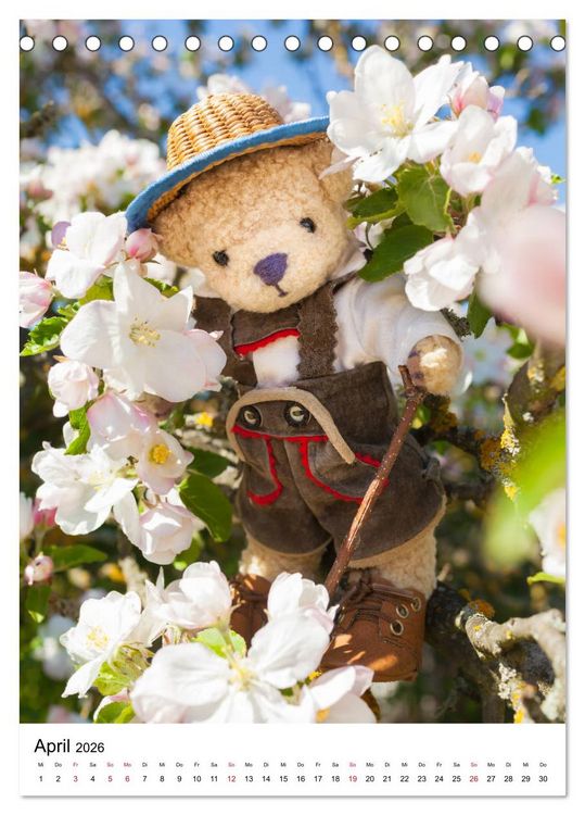 Produktbild: Teddyb&auml;ren Abenteuer - Zu Hause und Unterwegs (Tischkalender 2026 DIN A5 hoch), CALVENDO Monatskalender
