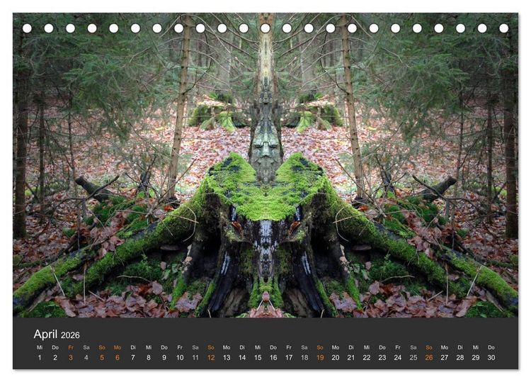 Produktbild: Spiegelwelten - Im Reich der Naturwesen (Tischkalender 2026 DIN A5 quer), CALVENDO Monatskalender